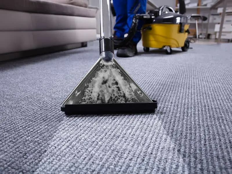 Professional Carpet Cleaning