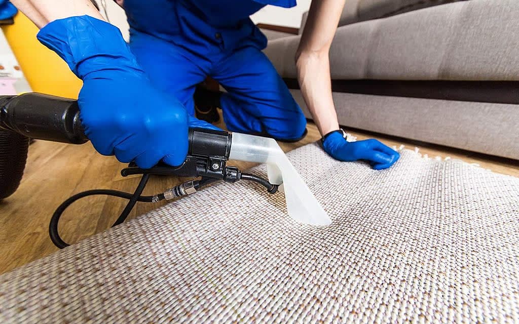 Carpet Cleaning